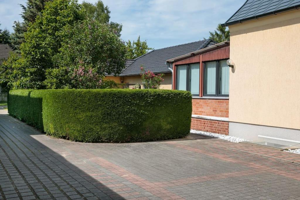 Charmantes Townhaus Mit Garten, W-Lan & Netflix พอทสดัม ภายนอก รูปภาพ